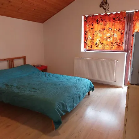 Casa Vlazilor