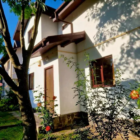 Casa Vlazilor